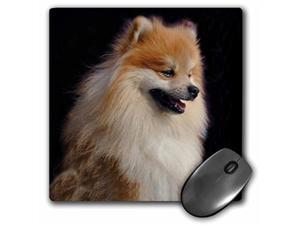 Wireless 2.4G Computer Laptop Mouse Mice/Cute Pomeranian Spitz Puppy and Bones