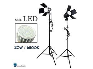 LimoStudio LED Day Light Bulb 2 pcs x Continuous Barndoor Light Stand Kit for Photography Photo Studio