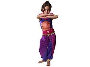 storybook wishes purple arabian princess dress up costume size 6/8