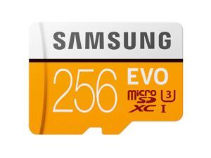 SAMSUNG EVO 256GB microSDXC Flash Card + Adapter Model MB-MP256HA/AM SAMSUNG EVO 256GB microSDXC Flash Card + Adapter Model MB-MP256HA/AM