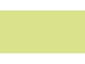 Tombow Dual Brush Marker Open Stock-192 Asparagus Tombow Dual Brush Marker Open Stock-192 Asparagus