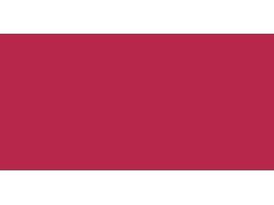 Tombow Dual Brush Marker Open Stock-815 Cherry Tombow Dual Brush Marker Open Stock-815 Cherry
