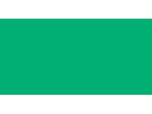 Tombow Dual Brush Marker Open Stock-296 Green Tombow Dual Brush Marker Open Stock-296 Green