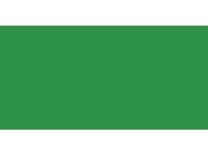 Speedball Super Pigmented Acrylic Ink 2 Ounces-Emerald Green Speedball Super Pigmented Acrylic Ink 2 Ounces-Emerald Green