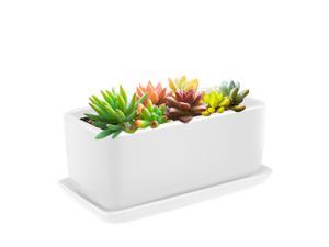 10 Inch Rectangular Ceramic Succulent Planter Pot - Cactus Herb Flower Container Window Box Holder with Removable Drip Tray Base for Tabletop Desktop Indoor Outdoor Home Office Garden (White)