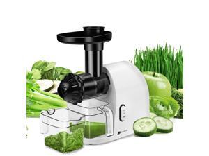 Flexzion Masticating Juicer Machine - Electric Slow Cold Press High Yield Juice Extractor with Cleaning Brush, Juice Cup Pulp Container for Non-Oxidized High Nutrient Fruit and Vegetable Juice, White Flexzion Masticating Juicer Machine - Electric Slow Cold Press High Yield Juice Extractor with Cleaning Brush, Juice Cup Pulp Container for Non-Oxidized High Nutrient Fruit and Vegetable Juice, White