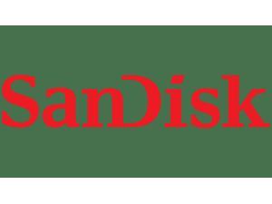 SanDisk Extreme 64 GB Class 10UHSI U3 V30 SDXC  170 MBs Read  80 MBs Write  SDSDXV2064GANCIN