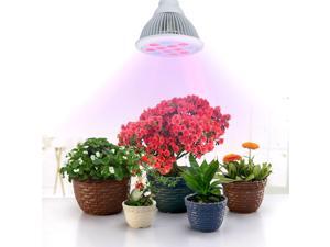 Patazon 12 LED Indoor Garden Plant Grow Light Bulb - 36W E27(3 Blue LED & 9 Red LED) Hydroponic Lamp for Flower Plants Growth Vegetable Greenhouse Patazon 12 LED Indoor Garden Plant Grow Light Bulb - 36W E27(3 Blue LED & 9 Red LED) Hydroponic Lamp for Flower Plants Growth Vegetable Greenhouse