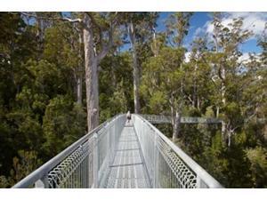 AirWalk, Paths, Tahune Forest, Tasmania, Australia Poster Print by David Wall (36 x 24) AirWalk, Paths, Tahune Forest, Tasmania, Australia Poster Print by David Wall (36 x 24)