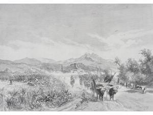 Malaga Spain From The Sugar Fields By Edward T Compton (1849-1921) From The Picturesque Mediterranean Circa 1890 Poster Print (17 x 12) Malaga Spain From The Sugar Fields By Edward T Compton (1849-1921) From The Picturesque Mediterranean Circa 1890 Poster Print (17 x 12)