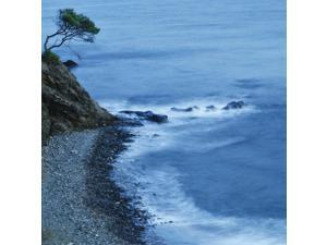 Isolated Tree On A Cliff Overlooking A Pebble Beach Along The Coast Benalmadena-Costa Malaga Andalusia Spain Poster Print (15 x 15) Isolated Tree On A Cliff Overlooking A Pebble Beach Along The Coast Benalmadena-Costa Malaga Andalusia Spain Poster Print (15 x 15)