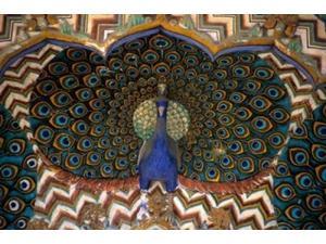 Asia, India, Jaipur. Peacock Gate at Jaipur Palace Poster Print by Kymri Wilt (36 x 24) Asia, India, Jaipur. Peacock Gate at Jaipur Palace Poster Print by Kymri Wilt (36 x 24)