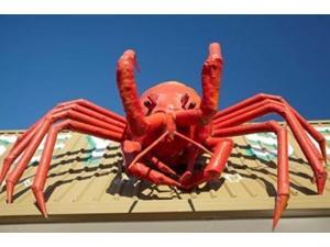 Crustacean, Giant Lobster, Stanley, Tasmania, Australia Poster Print by David Wall (36 x 24) Crustacean, Giant Lobster, Stanley, Tasmania, Australia Poster Print by David Wall (36 x 24)