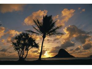 Hawaii Oahu Kualoa County Beach Park Mokolii Island (Chinaman Hat) At Sunrise Golden Light Palm Tree In Foreground Poster Print (19 x 12) Hawaii Oahu Kualoa County Beach Park Mokolii Island (Chinaman Hat) At Sunrise Golden Light Palm Tree In Foreground Poster Print (19 x 12)