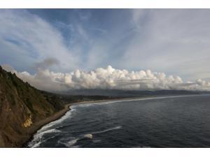 Neahkahnie Beach has room to roam on the Oregon Coast Oregon United States of America Poster Print (18 x 12)