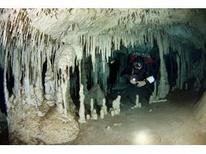 Cave diver exploring Nohoch cave in the Yucatan Peninsula Mexico Poster Print by VWPicsStocktrek Images (17 x 11) Cave diver exploring Nohoch cave in the Yucatan Peninsula Mexico Poster Print by VWPicsStocktrek Images (17 x 11)