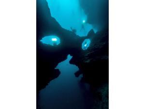 An eerie underwater site Cebu Philippines Poster Print by Bruce ShaferStocktrek Images (11 x 17) An eerie underwater site Cebu Philippines Poster Print by Bruce ShaferStocktrek Images (11 x 17)