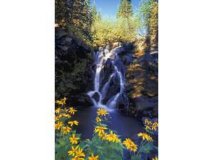 Waterfall Kootenays British Columbia Canada Poster Print (11 x 17) Waterfall Kootenays British Columbia Canada Poster Print (11 x 17)
