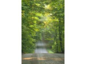 Gravel Road Niagara Region Pelham Ontario Poster Print (11 x 17) Gravel Road Niagara Region Pelham Ontario Poster Print (11 x 17)