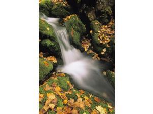 Mount Head Creek Mount Carleton Provincial Park New Brunswick Poster Print (11 x 17) Mount Head Creek Mount Carleton Provincial Park New Brunswick Poster Print (11 x 17)