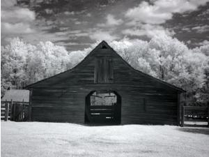 Barn Dothan Alabama Poster Print by Carol Highsmith (18 x 24) Barn Dothan Alabama Poster Print by Carol Highsmith (18 x 24)
