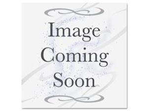 All Surface Cleaner, Mint, 28 oz, Bottle All Surface Cleaner, Mint, 28 oz, Bottle