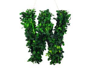 Modern Home 12" Real Preserved Boxwood Monogram Wreath Letters - W