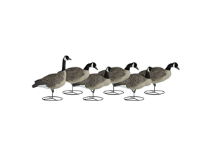 Dakota Decoy Canada Goose Flocked Upright Decoys 6-Pack With 6 Bags Dakota Decoy Canada Goose Flocked Upright Decoys 6-Pack With 6 Bags