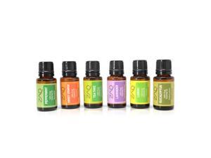 ZAQ Aromatherapy Top 6 100% Pure Therapeutic Essential Oil Gift Set- 15ml  (Lavender, Tea Tree, Eucalyptus, Lemon, Orange, Peppermint)
