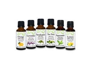 ZAQ Aromatherapy Top 6 100% Pure Therapeutic Essential Oil Gift Set- 1 Oz (Lavender, Tea Tree, Eucalyptus, Lemon, Orange, Peppermint)