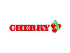 Cherry JK-A0100EU-2 CHERRY  BLACK USB KEYBOARD WITH HIGH PERFORMANCE PCSC/EMV SMART CARD READER  US INTL. 104+4 KEY POSITION LAYOUT  FIPS201 CERTIFIED