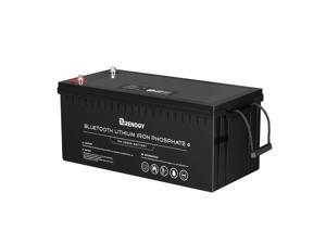 Renogy 12V 200Ah Lithium Iron Phosphate Battery with Bluetooth Renogy 12V 200Ah Lithium Iron Phosphate Battery with Bluetooth