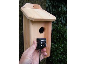 Birdhouse Spy Cam Store - Newegg.com