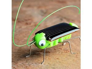 Green solar grasshopper insect educational toys play toys promotion gift