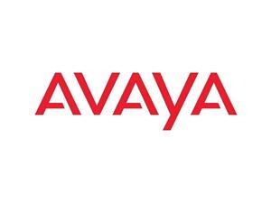 Avaya Standard Power Cord Avaya Standard Power Cord