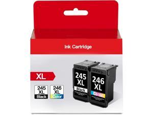 245XL 246XL Combo Pack Replacement Printer Ink for Canon Ink Cartridges 245 and 246 for Canon Pixma TR4500 TS3322 TS3122 TR4522 TR4500 MG2522 MX490 MX492 TS3300 TS3320 TS3100 MG2500 MG2520 2 Pack