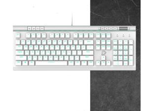 Dareu EK812 Multimedia Mechanical Gaming Keyboard with RGB LED Backlit,104 Keys Anti-ghosting Ergonomic USB Wired PC Gaming Keyboards (White,Red Switch)