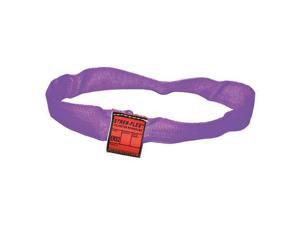 3 ft. Endless - Type 5 Round Sling, 5/8" Diameter, Color Code: Purple, Polyester 3 ft. Endless - Type 5 Round Sling, 5/8" Diameter, Color Code: Purple, Polyester