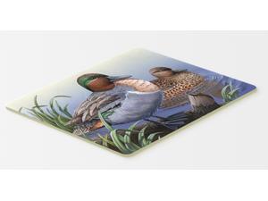 Multicolor Carolines Treasures PTW2057CMT Teal Ducks in the Water Kitchen or Bath Mat 20 by 30