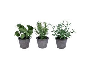 7" Green Potted Herbs Assort Set/3 7" Green Potted Herbs Assort Set/3