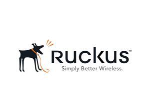 Ruckus 650W AC Power Supply With Intake Airflow RPS19-I Ruckus 650W AC Power Supply With Intake Airflow RPS19-I