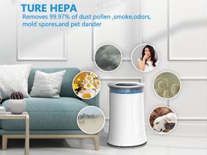 ELECSHELL High CADR Air Purifier for Large Rooms to 376ft², Fast Purification Air Purifier for Home, True HEPA Filter Air Cleaner, Effective for Pollen, Smoke, Dust, Pet Dander, Quiet with Night Light ELECSHELL High CADR Air Purifier for Large Rooms to 376ft², Fast Purification Air Purifier for Home, True HEPA Filter Air Cleaner, Effective for Pollen, Smoke, Dust, Pet Dander, Quiet with Night Light