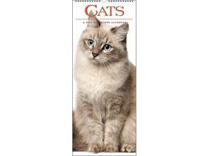Gladstone Media, Cats 2022 Wall Calendar Gladstone Media, Cats 2022 Wall Calendar