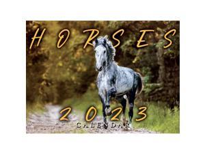 Smith-Southwestern,  Horses 2023 Wall Calendar