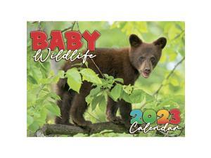 Smith-Southwestern,  Baby Wildlife 2023 Wall Calendar