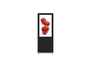 SEEYOO 49inch LG panel,10 Points Interactive Kiosk for Digital Signage, Windows System (Black)