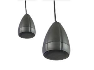 Polk Audio Atrium Sat30 Ceiling Hanging Pendant Indoor/Outdoor Speaker (Single Speaker) Polk Audio Atrium Sat30 Ceiling Hanging Pendant Indoor/Outdoor Speaker (Single Speaker)