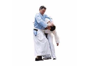 David Deatons Wado Ryu Karate Series Titles Training dvds