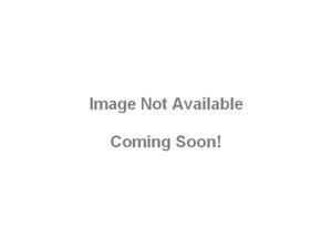 Supermicro SuperChassis 825TQC-600LPB (Black)