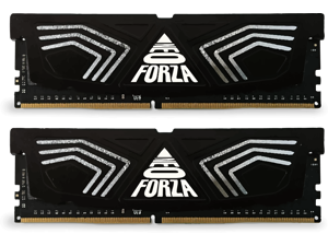 Neo Forza FAYE 32GB (2x16GB) 288-Pin DDR4 3000 (PC4 24000) SDRAM Desktop Memory Model NMUD432E82-3000DG20